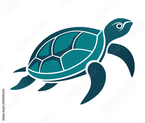 Tortoise  vector illustration of a turtle