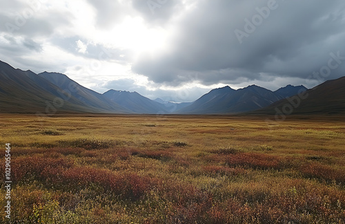 Majestic Mountains and Vast Tundra photo