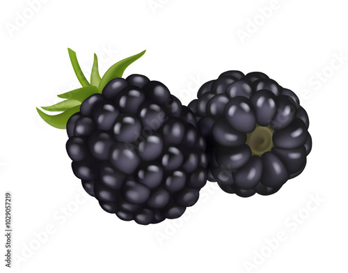 Sweet black raspberries, dewberries or blackberries. Vector realistic ripe berries, summer fruitage. Ingredient for vegetarian, vegan, diet kitchen. Icon for packing, juice or cocktail, summer fruits