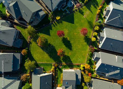 A neighborhood with houses and trees