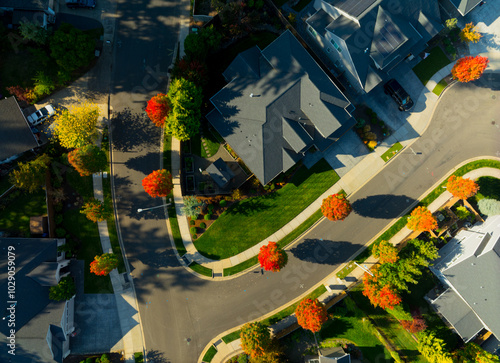 A street view of a residential neighborhood with houses and trees