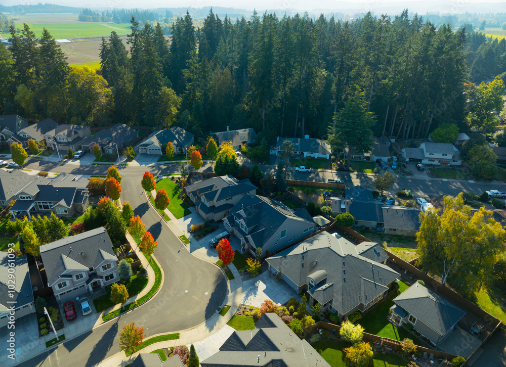 Ταπετσαρία A residential neighborhood with houses and trees
