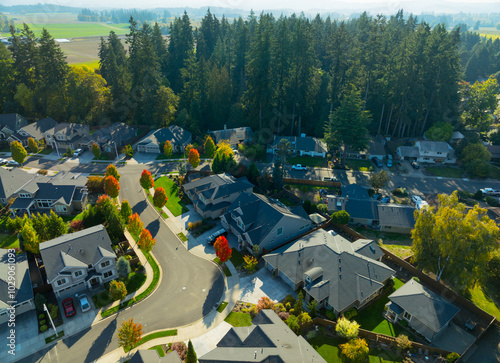 A residential neighborhood with houses and trees