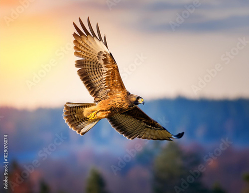 Flying bird. Bird of prey. Blue sky background. 