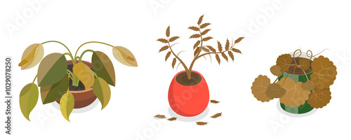 Foto 3D Isometric Flat  Set of Withered Houseplants In Pots, Fading Indoor Plants