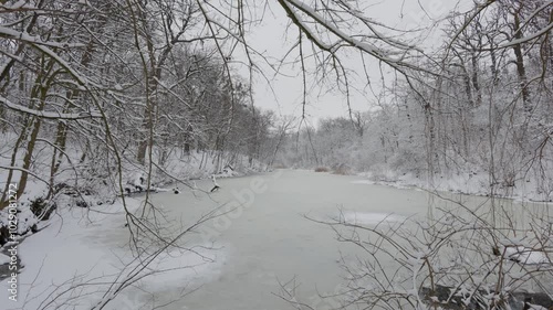 A beautiful walk through the winter forest. Trees, branches and bushes in the snow. Snow everywhere. The path in the forest is covered with snow.