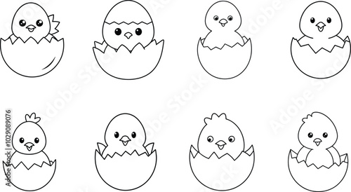 Cute Baby Chicks Hatching from Eggs