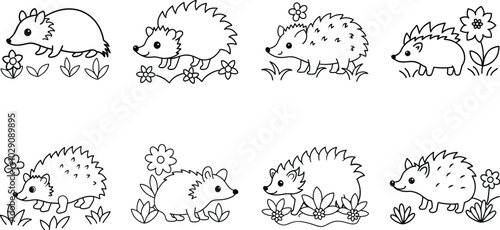 Cute Hedgehog Coloring Page With Flowers