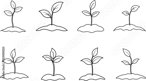 Simple Black and White Seedling Drawings