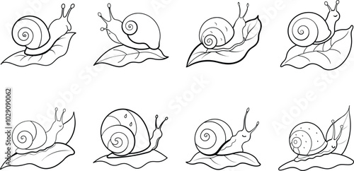 Cute Snail Illustrations for Coloring Pages