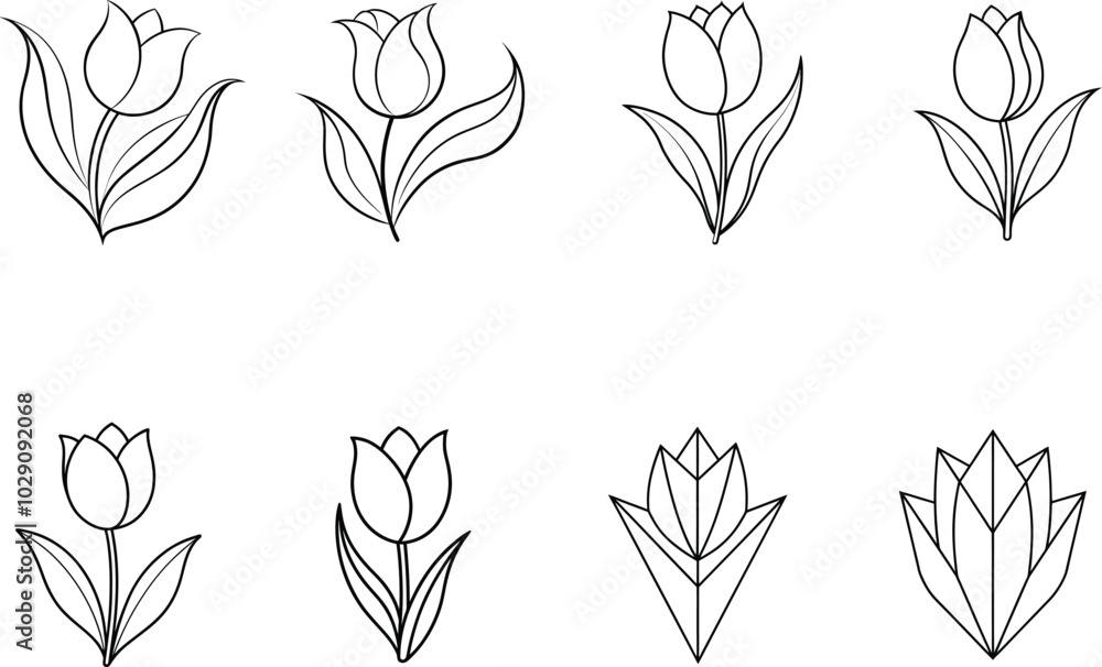 Fototapeta premium Eight Line Drawings of Tulips in Various Styles