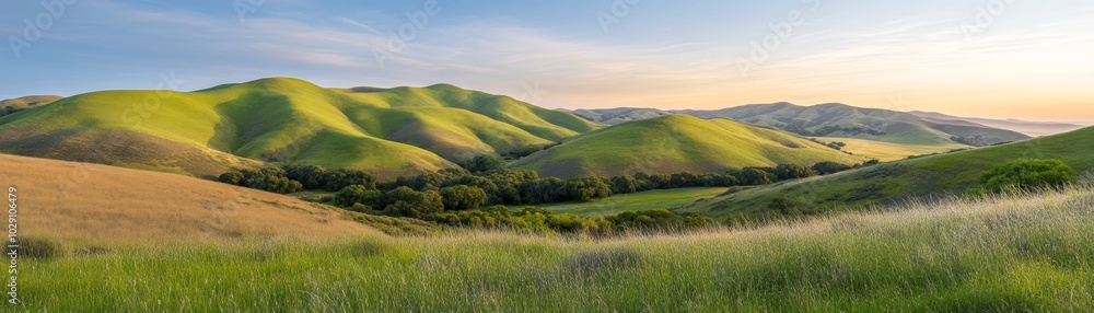 Serene green hillside, a picturesque landscape of nature's tranquility Serene green hillside, a picturesque landscape of nature's tranquility