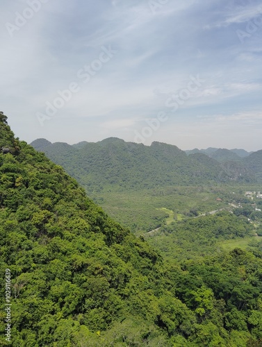 plantation in the mountains