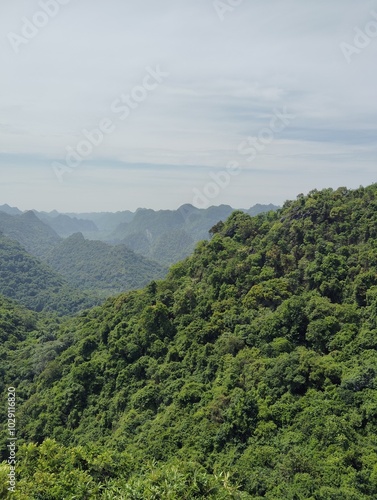 view from the mountain