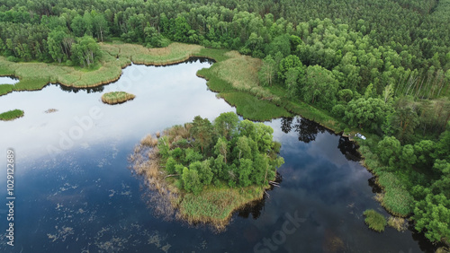 Scenic lake with lush green island and sky reflection photo