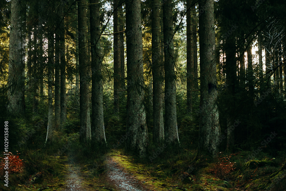 WALD #131048.2 WALD #131048.2