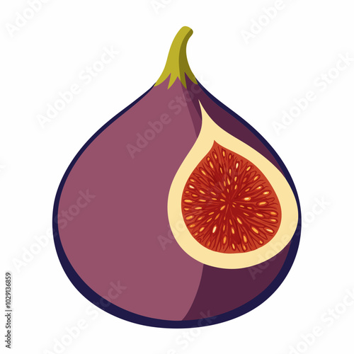 fig fruit vector art 