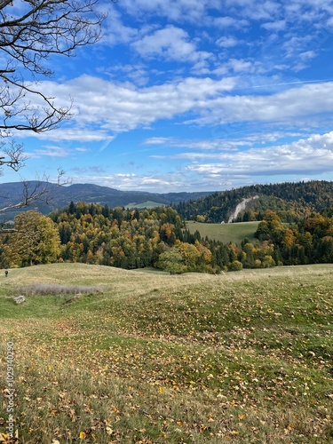 autumn in the park