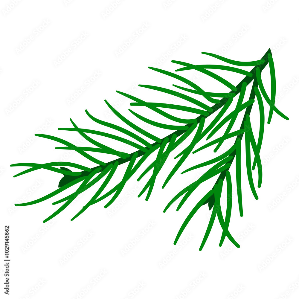 Illustration of pine branch. Merry Christmas and Happy New Year plant. Illustration of pine branch. Merry Christmas and Happy New Year plant.