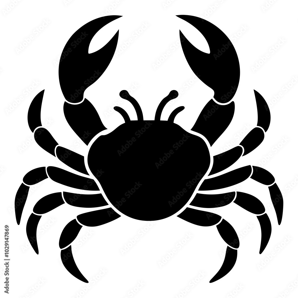 Crab Illustrations High Quality Sea Life Images for Creative Designs Crab Illustrations High Quality Sea Life Images for Creative Designs