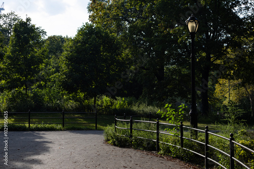 Beautiful Central Park Scene during Summer with Lush Greenery and No People in New York City