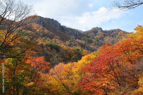 Vibrant autumn foliage paints the mountains in stunning oranges and yellows under a clear sky