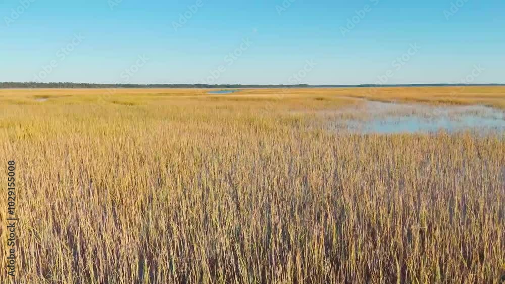 Drone low flying over marsh 60fps video Drone low flying over marsh 60fps video