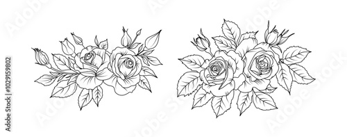 Rose flower arrangement line art on white background. Silhouette roses botanical hand drawn element for wedding, invitation frame design, vector illustration