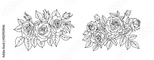 Rose flower arrangement line art on white background. Silhouette roses botanical hand drawn element for wedding, invitation frame design, vector illustration