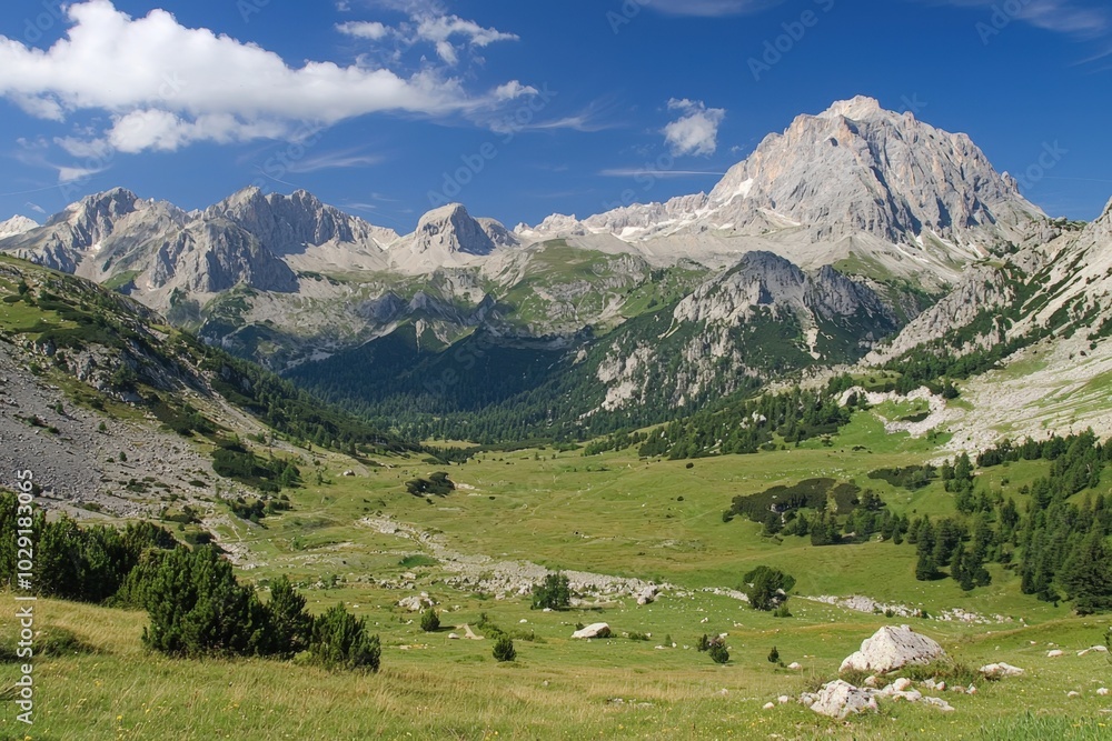 Vast green valley surrounded by majestic mountains under a bright blue sky at midday Vast green valley surrounded by majestic mountains under a bright blue sky at midday