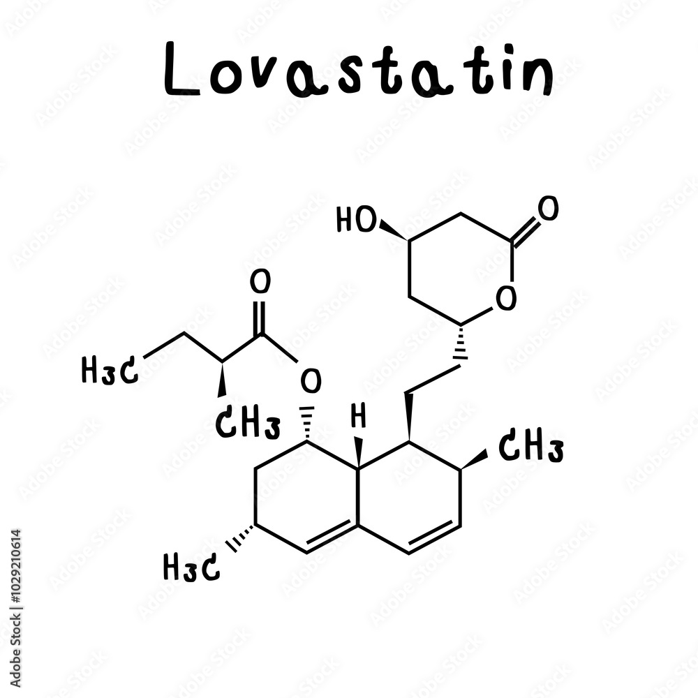 chemical structure of Lovastatin illustration chemical structure of Lovastatin illustration