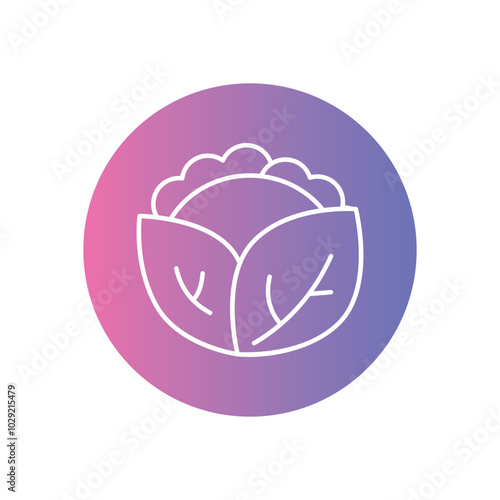 Lettuce vector icon stock illustration