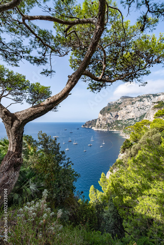 Capri island in summer, Gulf of Naples, Campania, Italy photo