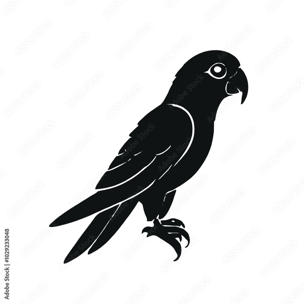 A black parrot with a large beak and distinctive feather patterns A black parrot with a large beak and distinctive feather patterns