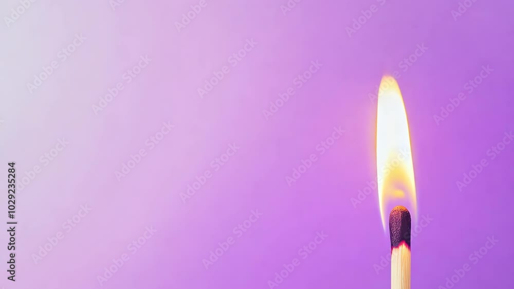 Burning Matchstick on a Purple Background: A Symbol of Fire, Heat, Light, Ignition, and Combustion Burning Matchstick on a Purple Background: A Symbol of Fire, Heat, Light, Ignition, and Combustion