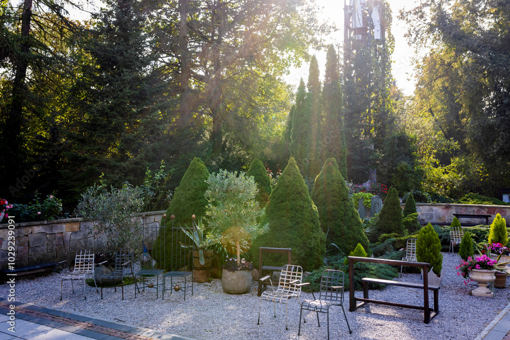 Obraz premium Agave in a pot among trimmed thuja, juniper, and round stones. Chair and bench. Landscape design in the park.