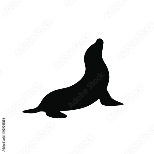 A black silhouette of a sea lion or seal on a white background 