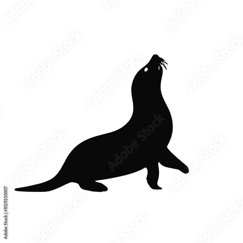 A black silhouette of a sea lion or seal on a white background 