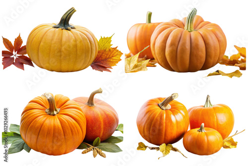 Pumpkin Passion Discovering Health Benefits of this Superfood