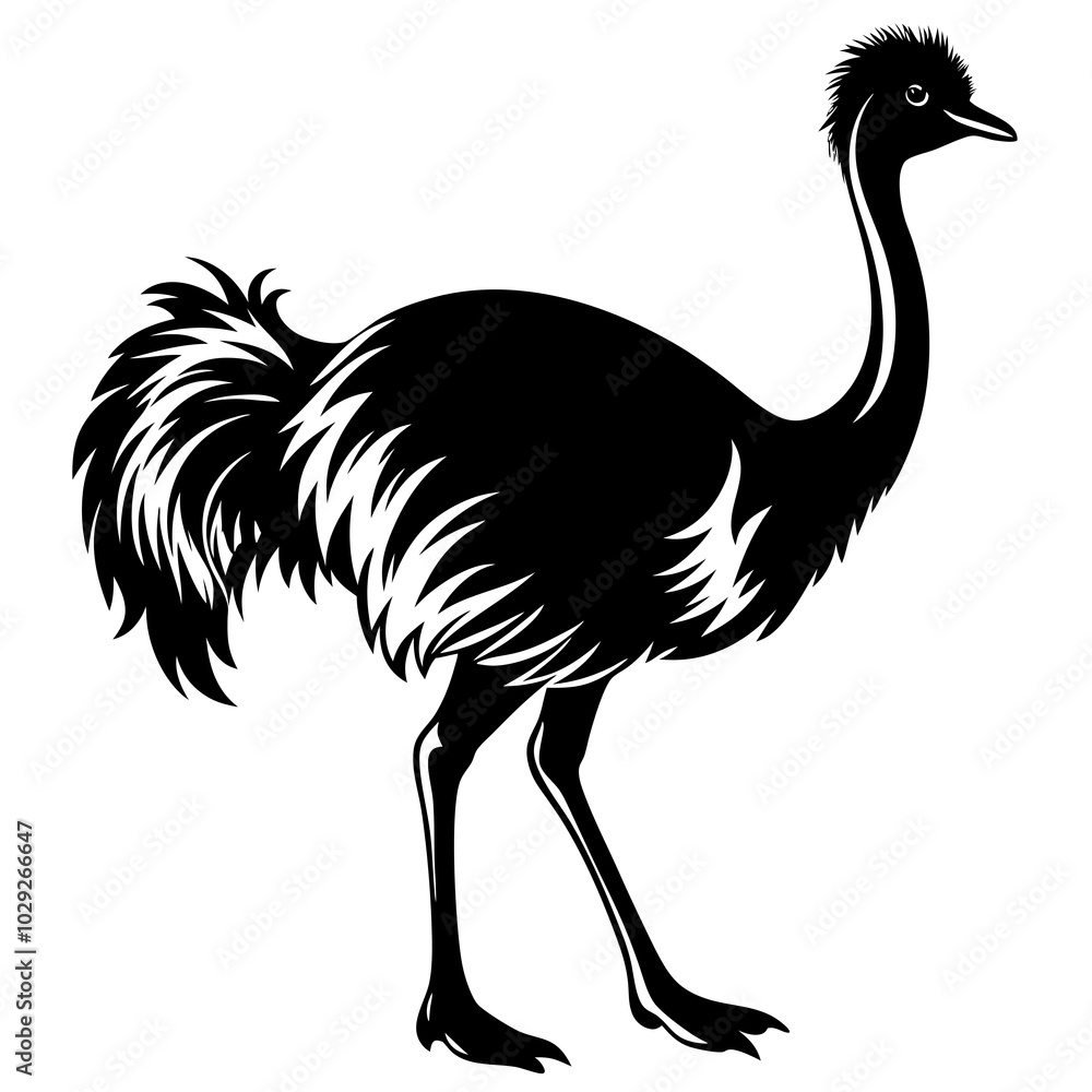 Obraz premium Ostrich silhouette vector illustration