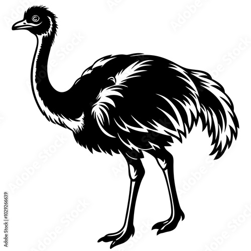 Ostrich silhouette vector illustration photo