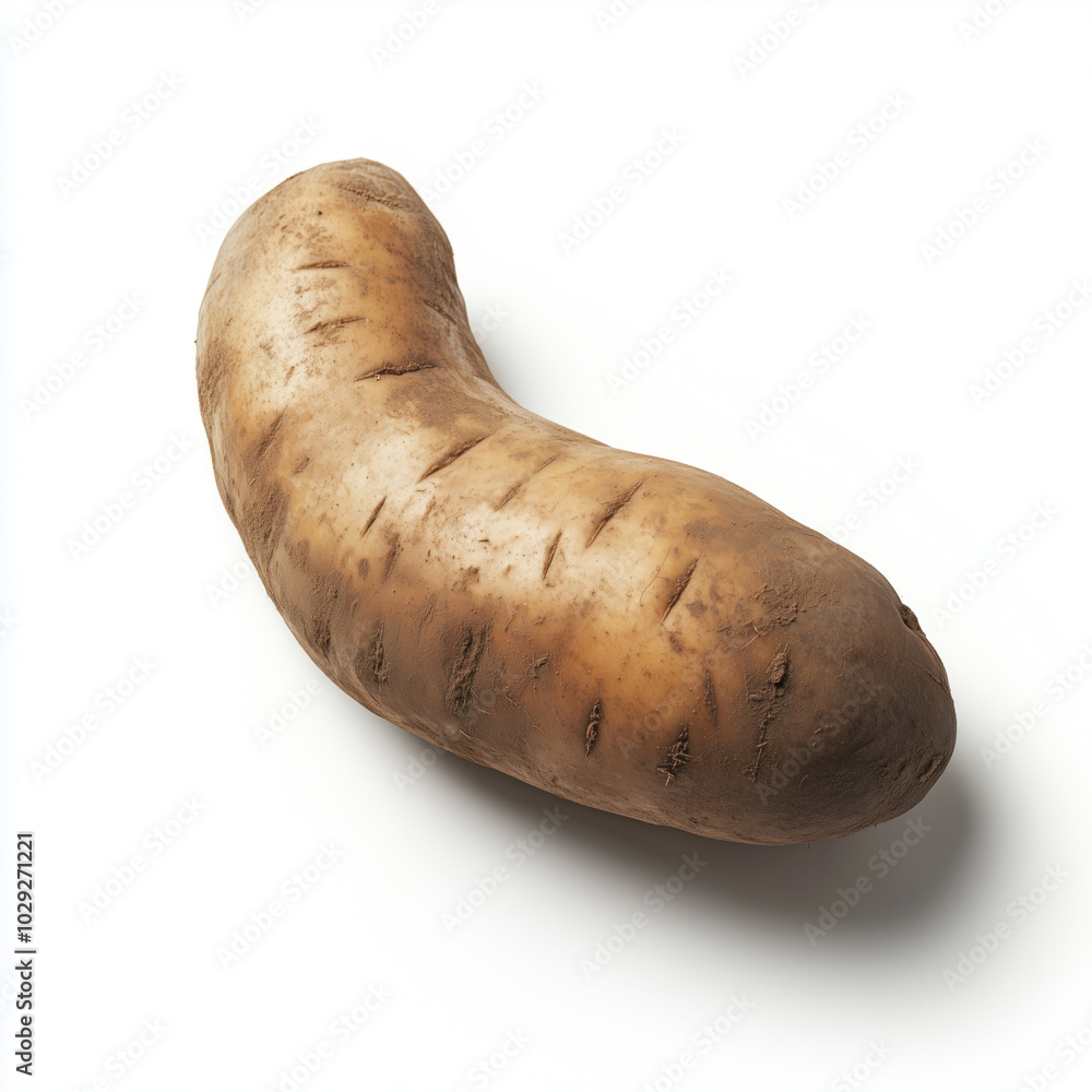 Tuber isolated on white background Tuber isolated on white background