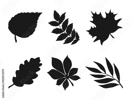 Collection of black leaf shapes on white background. Set of vector illustrations of oak, maple, birch, willow, rowan, chestnut leaves. Design elements for logo, banner, poster, postcard.