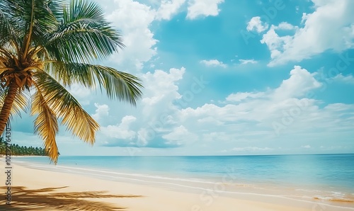  Serene Tropical Beach with Palm Trees and Blue Sky: Perfect Summer Vacation, Beach Escape, or Business Travel Setting with Copy Space for Relaxation Concept Serene Tropical Beach with Palm Trees.