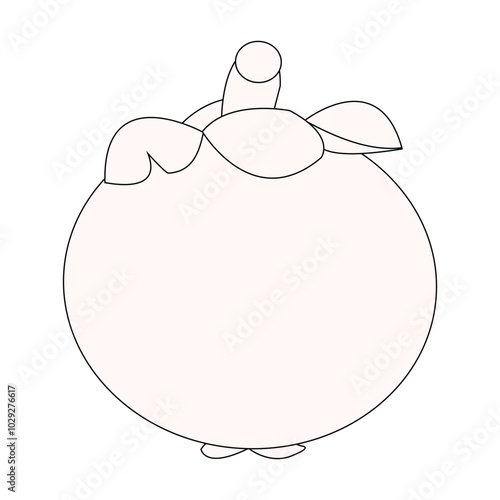 Simple mangosteen fruit sketch, minimalist outline of mangosteen fruit, whole fruit and other half. Ideal for use in illustrations, educational materials, or as icons in various creative projects.