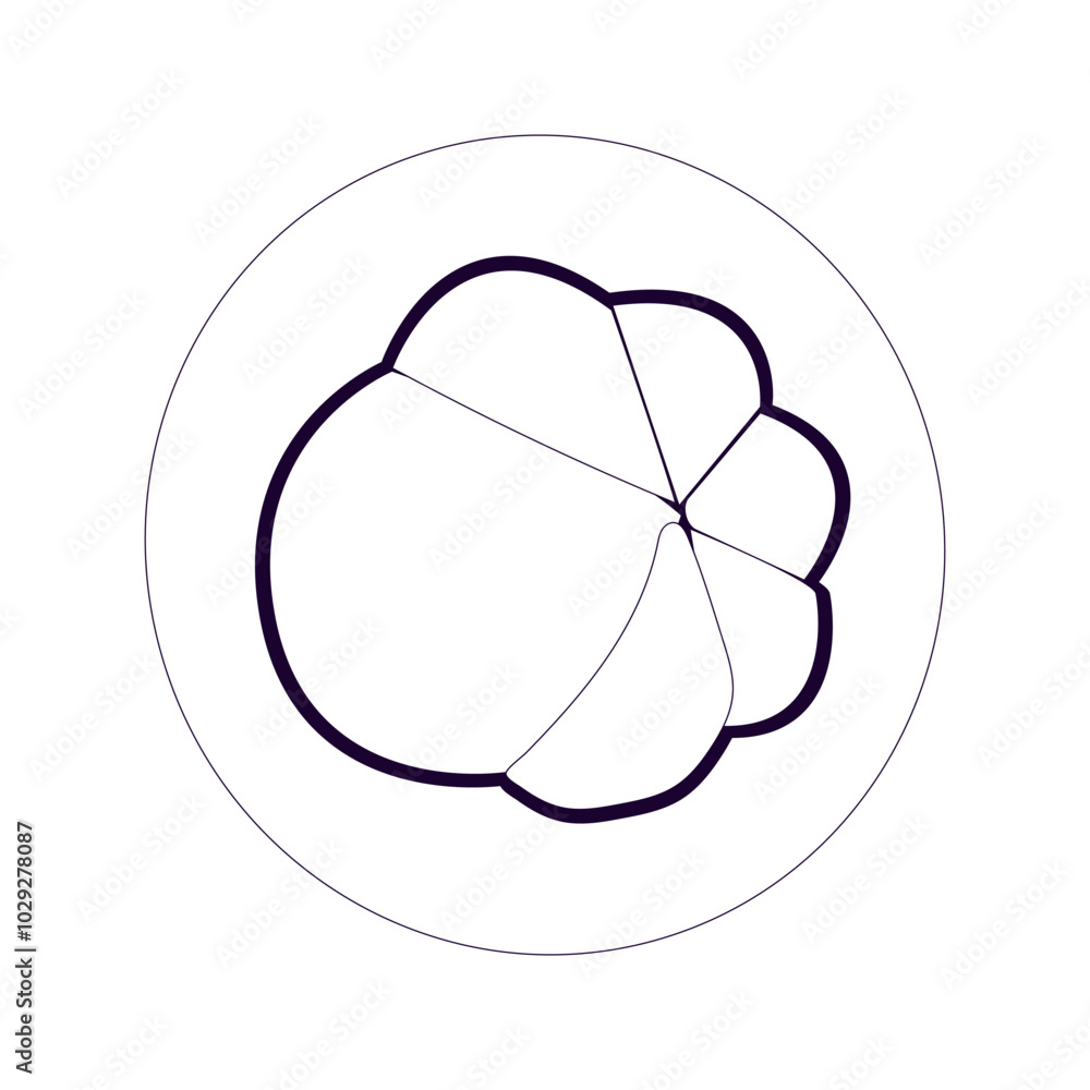 Simple mangosteen fruit sketch, minimalist outline of mangosteen fruit, whole fruit and other half. Ideal for use in illustrations, educational materials, or as icons in various creative projects. Simple mangosteen fruit sketch, minimalist outline of mangosteen fruit, whole fruit and other half. Ideal for use in illustrations, educational materials, or as icons in various creative projects.
