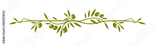 Olive leaves frame border line or divider of vector tree branches and vines with green olive fruits. Vegetable oil label frame border line, italian restaurant menu divider or wedding invitation decor