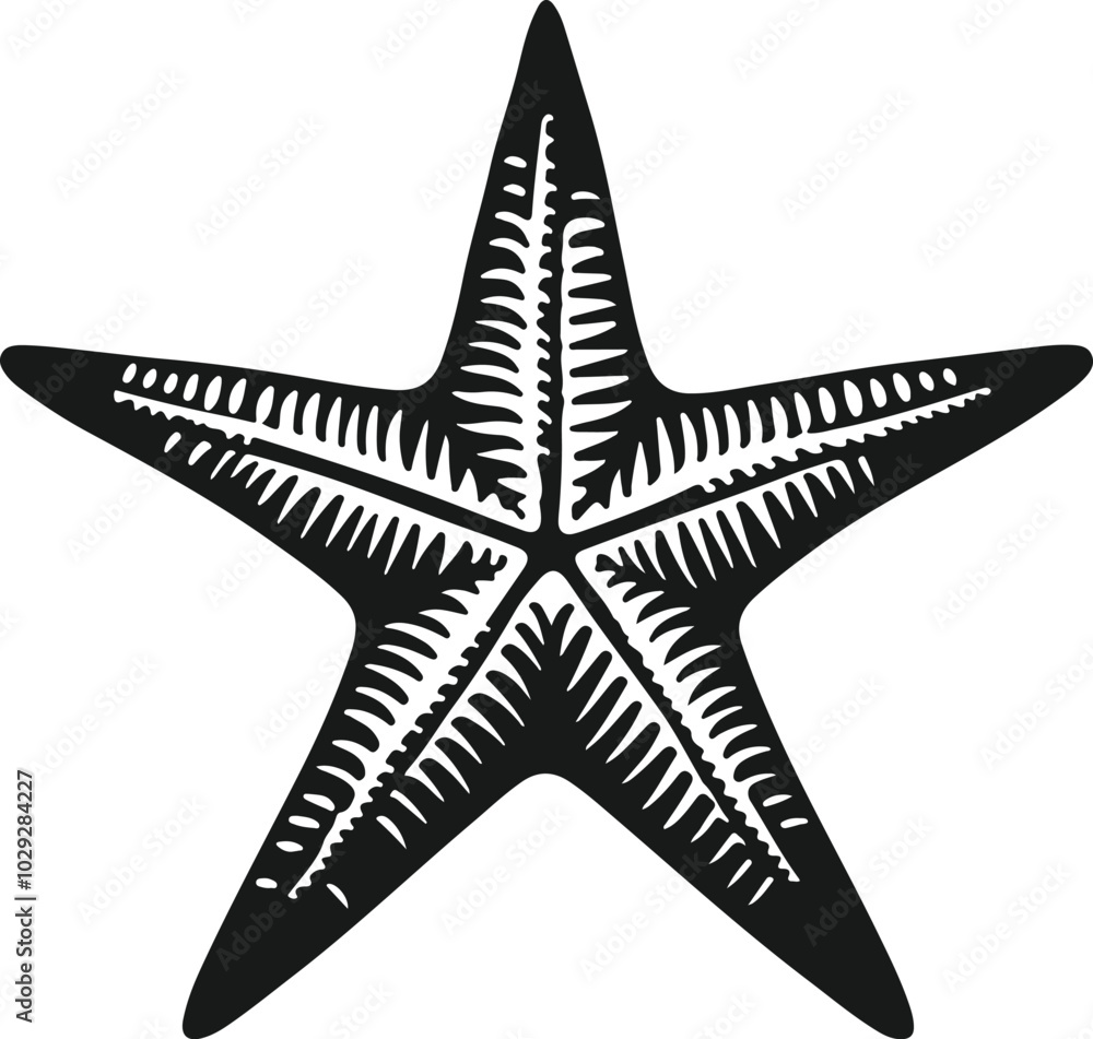 Starfish icon silhouette vector art illustration Starfish icon silhouette vector art illustration
