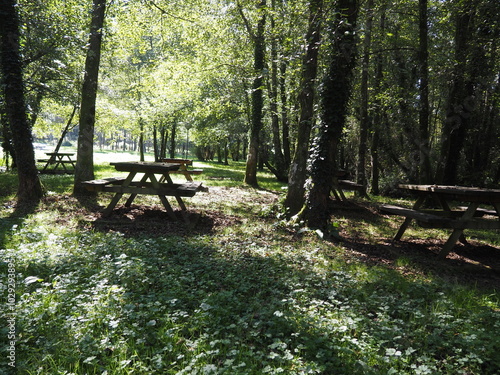 área de descanso en el pequeño pueblo de Sobrado de los Monjes con mesas y bancos de madera, arroyos con agua fresca y sombras, La coruña, Galicia, España, Europa  photo