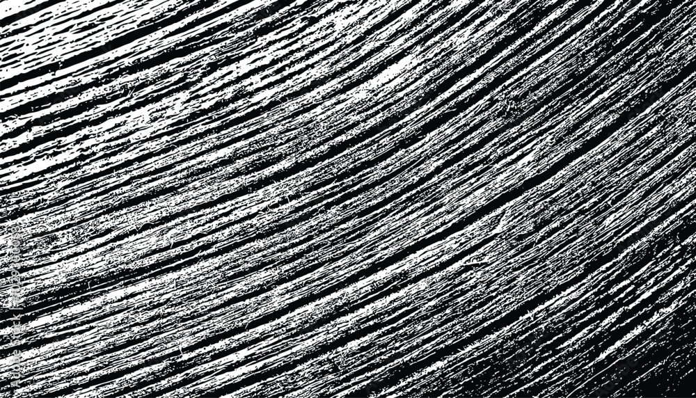 Obraz premium Black and white rough grunge background